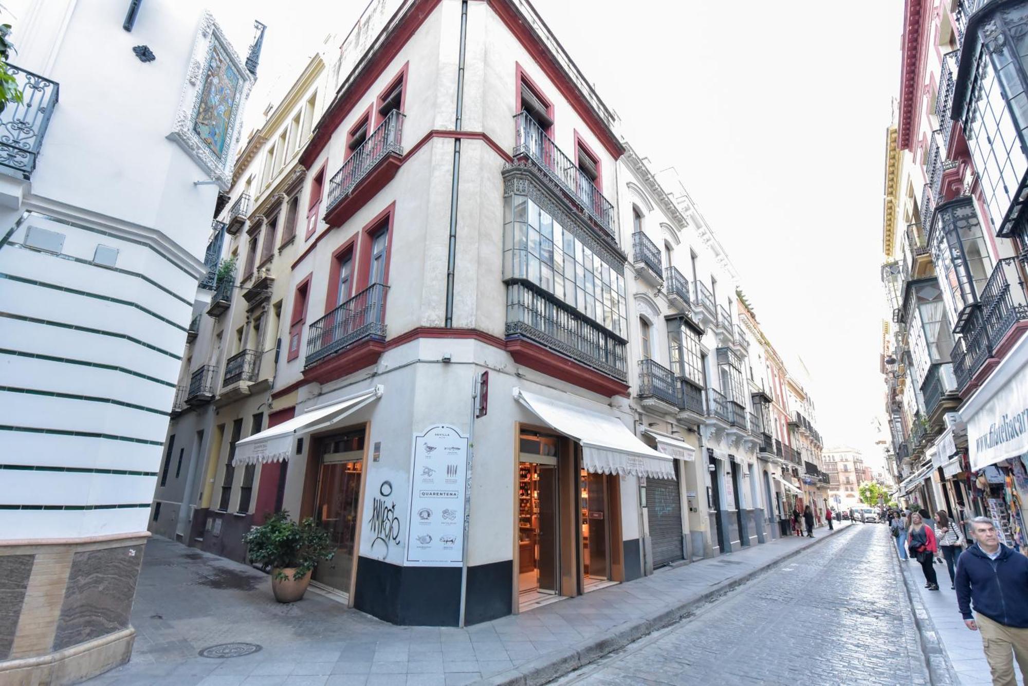 New! Duplex Exclusive Design - Terrace With View Seville