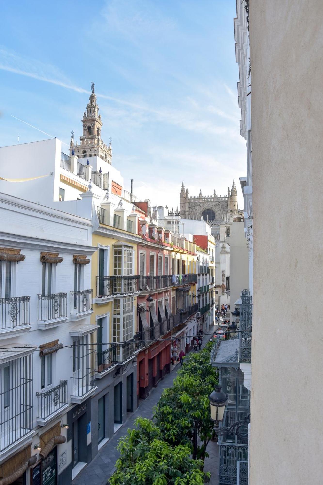 New! Duplex Exclusive Design - Terrace With View Apartment